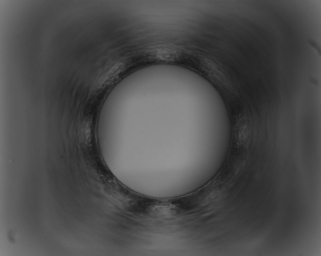 X0000101410595200807141133