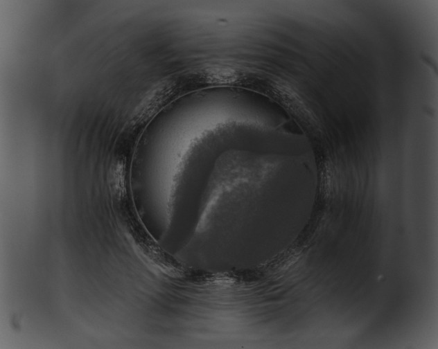 X0000101410598200807141133