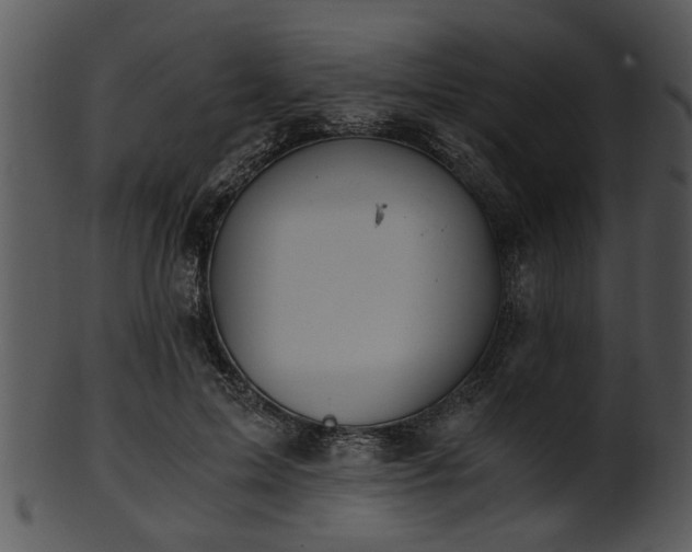 X0000101410599200807141133