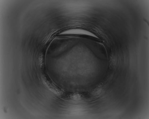 X0000101410600200807141133