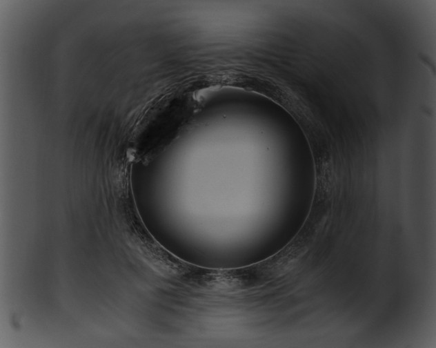 X0000101410601200807141133