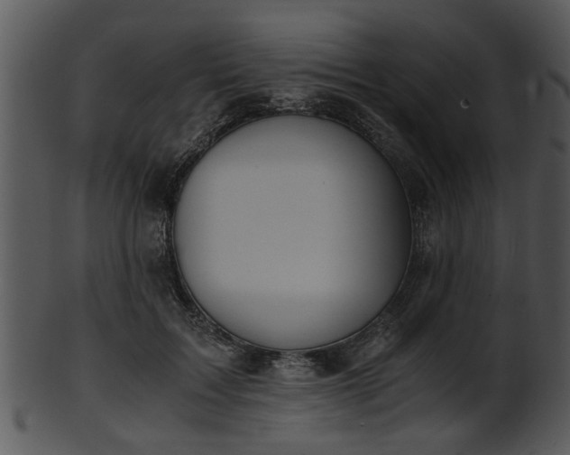 X0000101410603200807141133