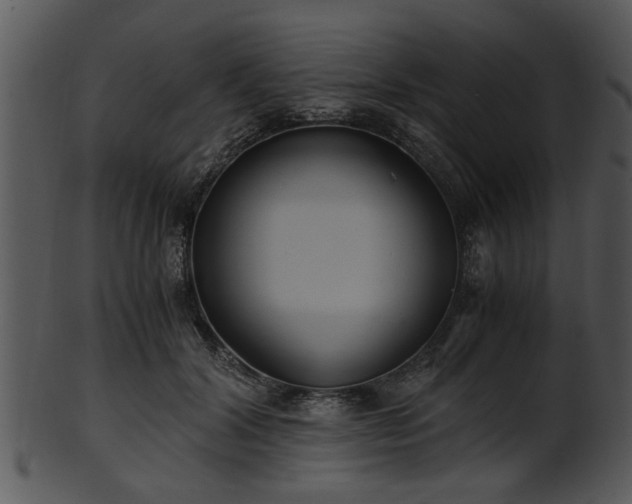 X0000101410604200807141133