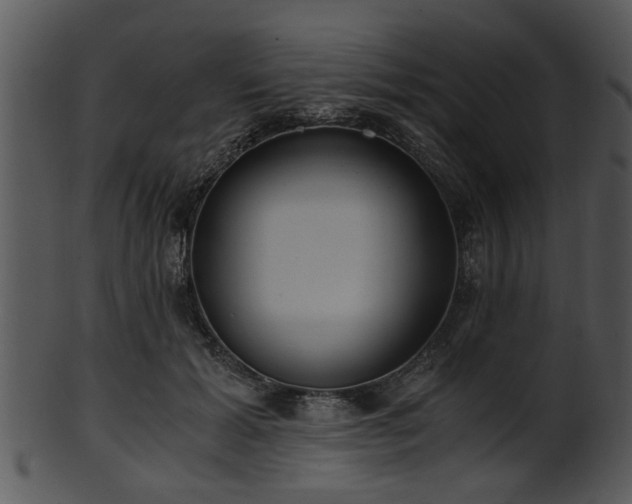 X0000101410605200807141133