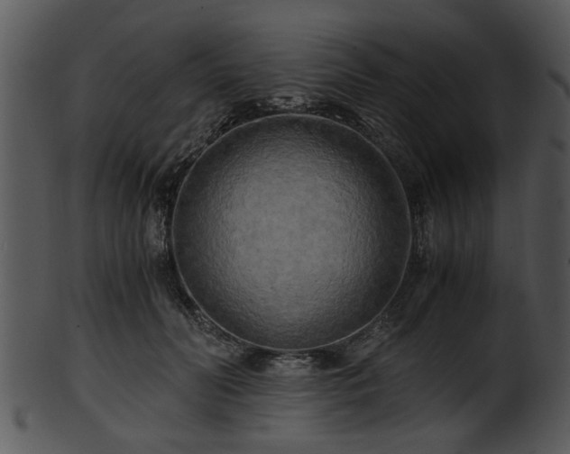 X0000101410606200807141133