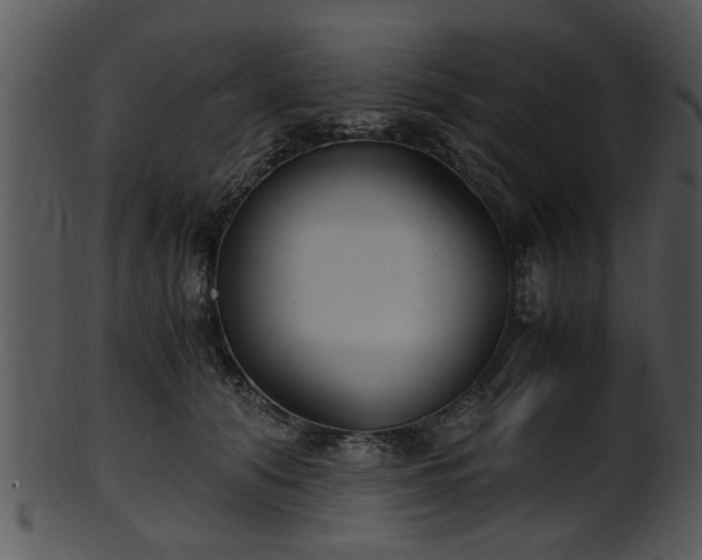 X0000101410608200807141133