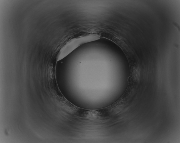 X0000101410612200807141133