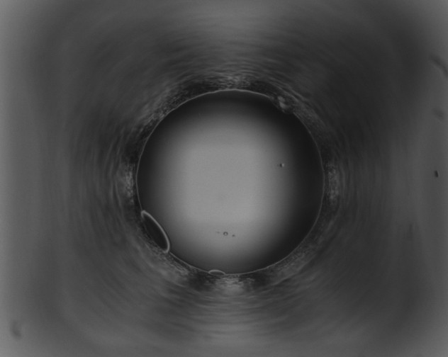 X0000101410613200807141133