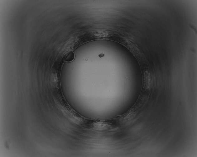 X0000101410614200807141133