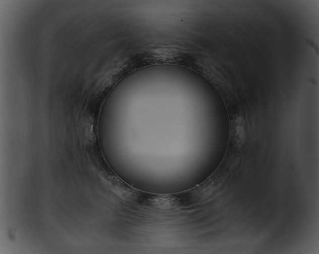 X0000101410615200807141133