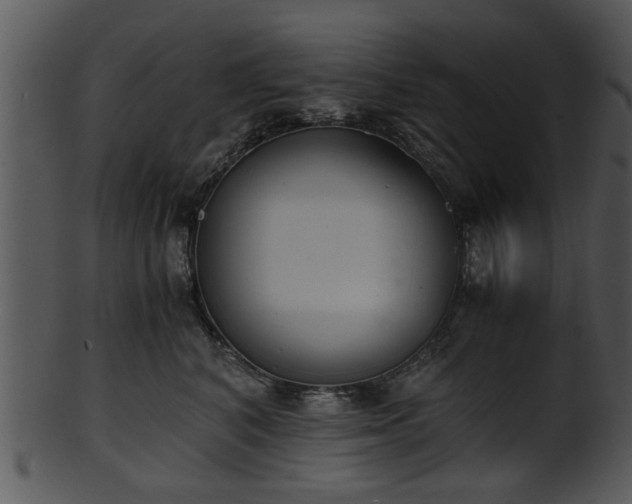 X0000101410616200807141133