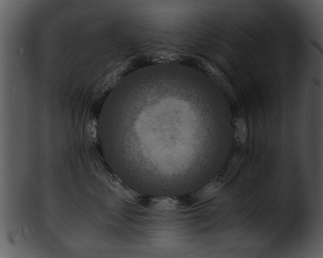 X0000101410621200807141133