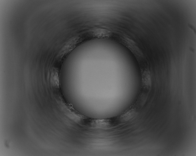 X0000101410622200807141133