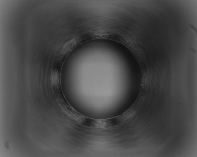 X0000101410623200807141133