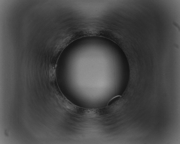 X0000101410624200807141133
