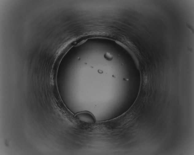 X0000101410628200807141132
