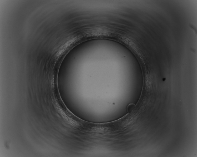 X0000101410629200807141132