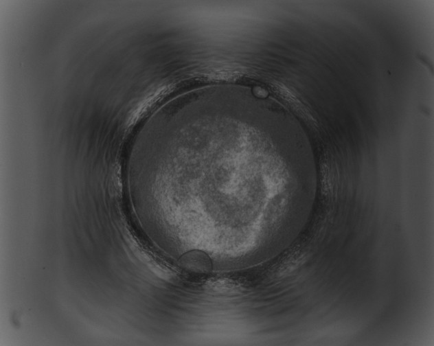 X0000101410634200807141132