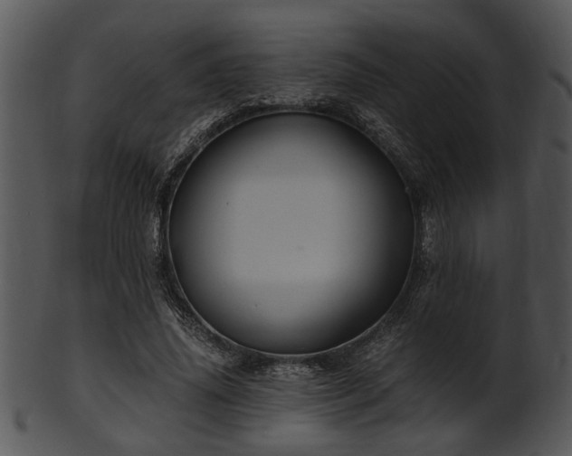 X0000101410636200807141132