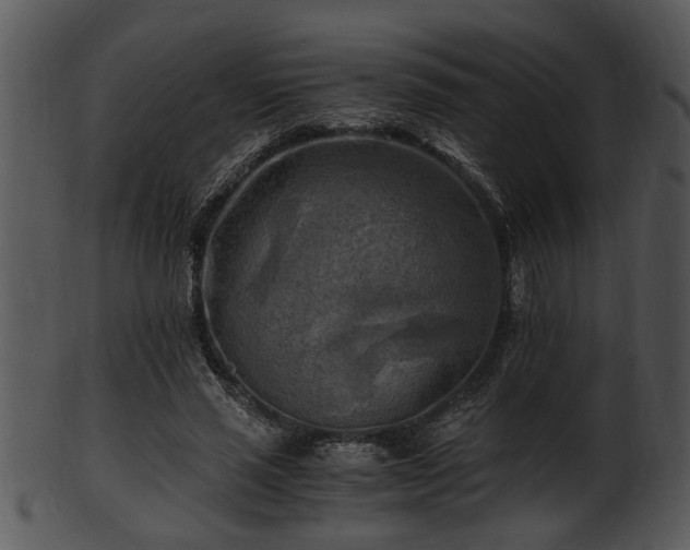 X0000101410637200807141132