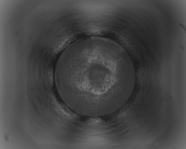 X0000101410642200807141132