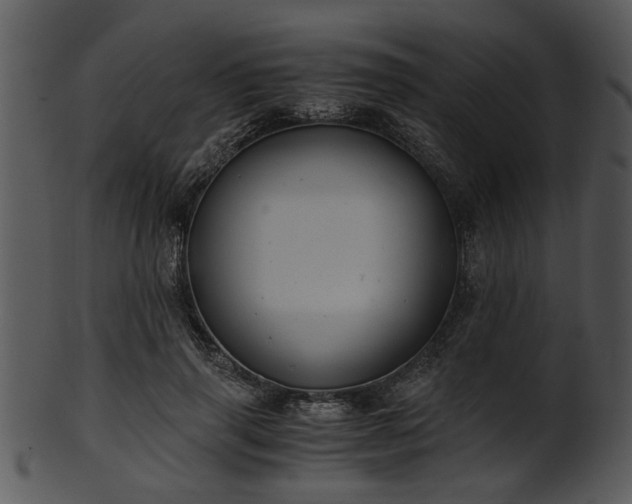 X0000101410645200807141132