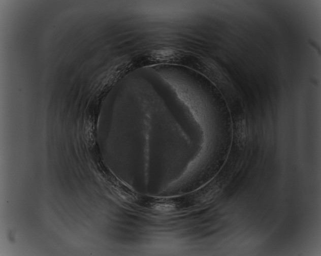 X0000101410653200807141132