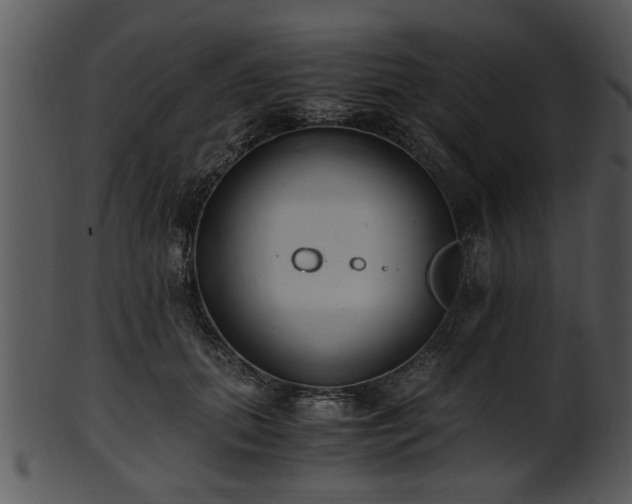 X0000101410655200807141132