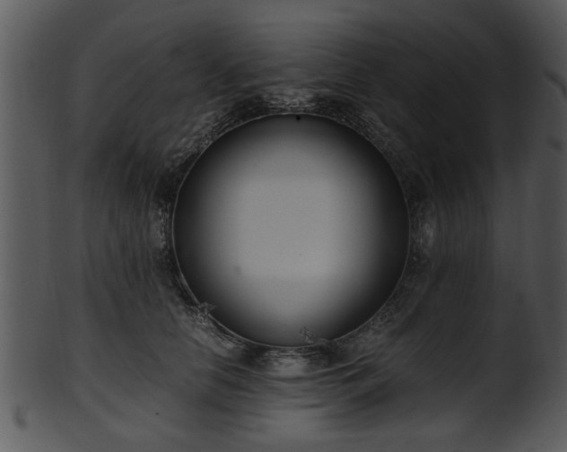 X0000101410658200807141132