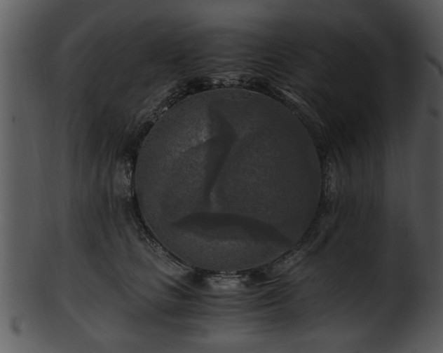 X0000101410661200807141132