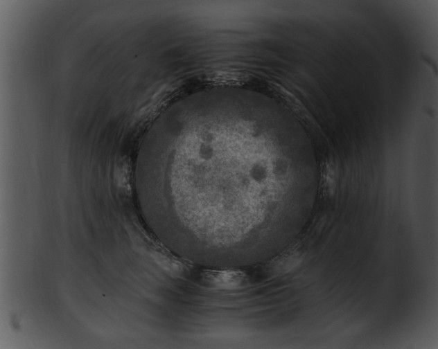 X0000101410663200807141132