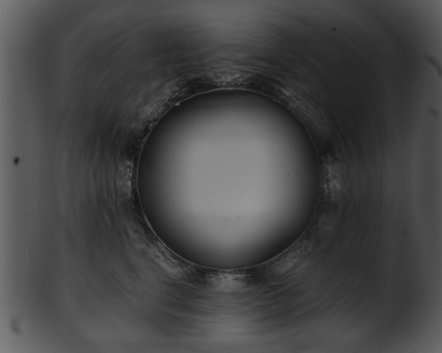 X0000101410664200807141132
