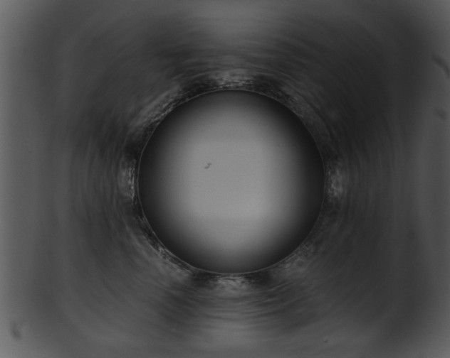 X0000101410666200807141132