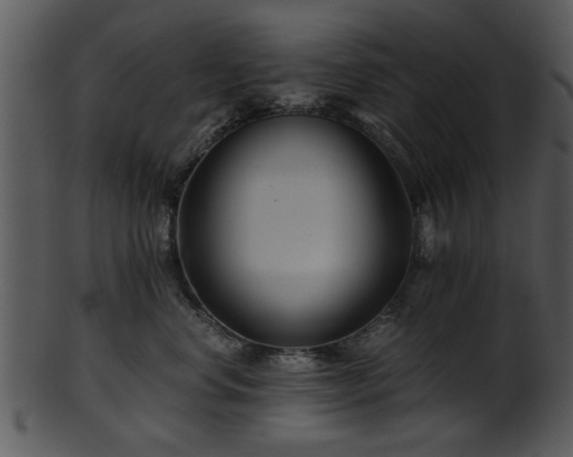 X0000101410668200807141132
