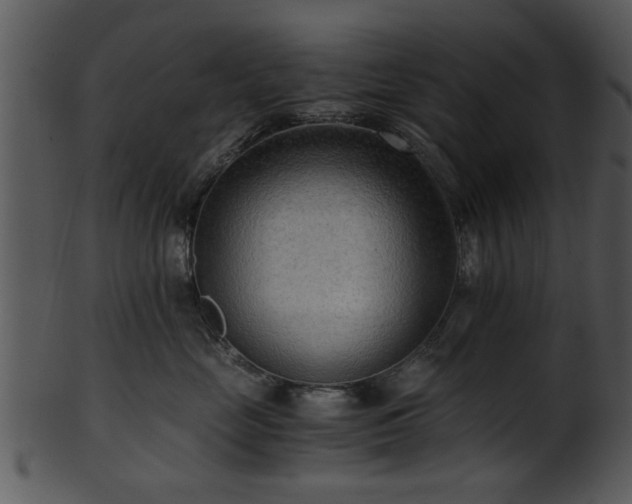 X0000101410669200807141132