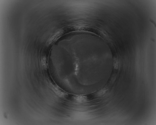 X0000101410670200807141132