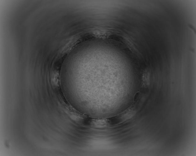 X0000101410671200807141133