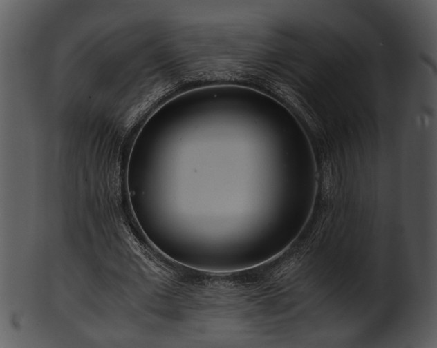 X0000101410677200807141132