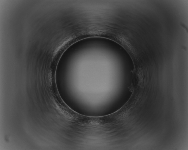 X0000101410684200807141132