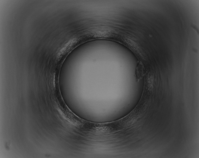 X0000101410686200807141131
