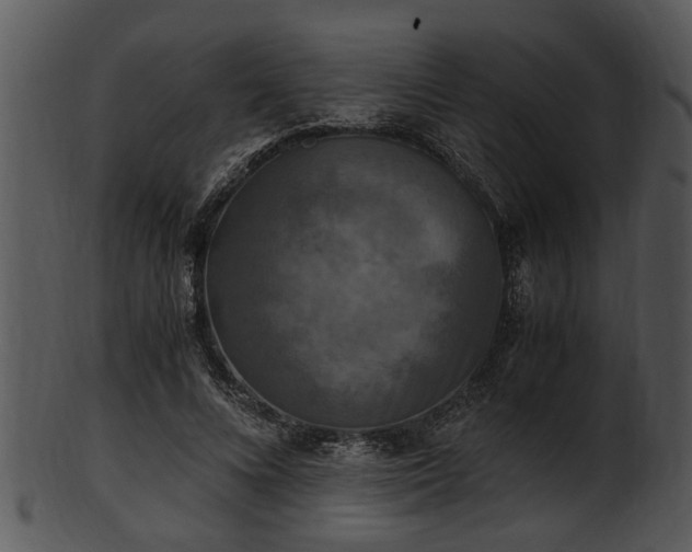 X0000101410688200807141131