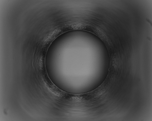 X0000101410690200807141131