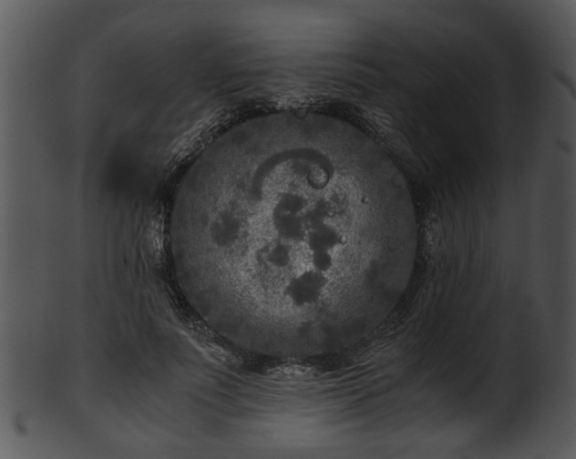 X0000101410691200807141131