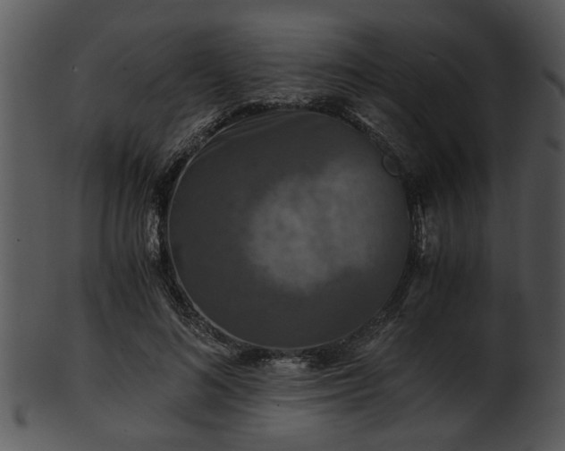X0000101410692200807141131