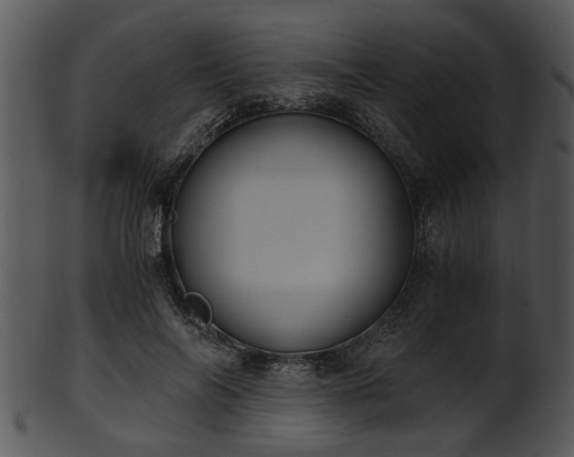 X0000101410694200807141131