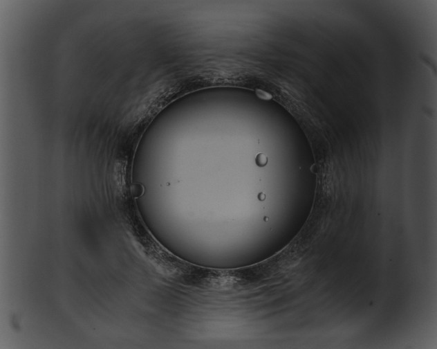 X0000101410695200807141131