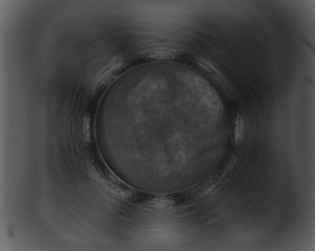 X0000101410696200807141131