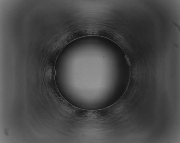 X0000101410697200807141131