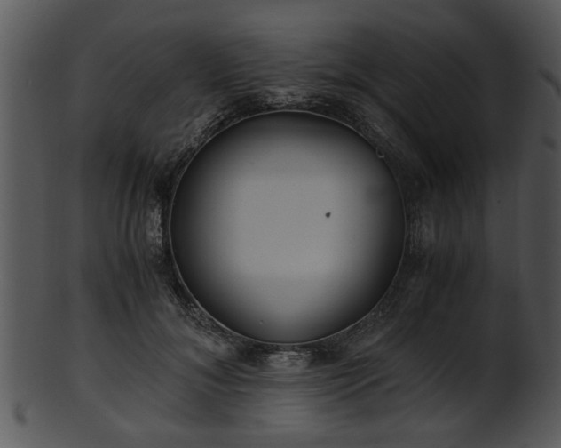 X0000101410700200807141131