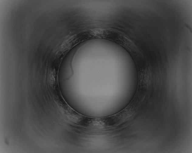 X0000101410702200807141131